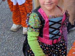 Trunk or Treaters